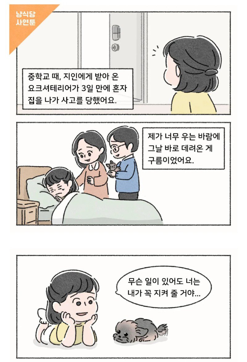 작가가 욕이나 박고 가라는 사연툰 만화.manwha