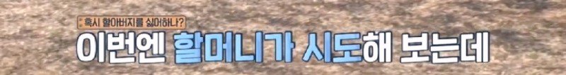최근 입양한 강아지가 손에 닿을 거리를 유지하고 만지지 못하게 도망가던 사연