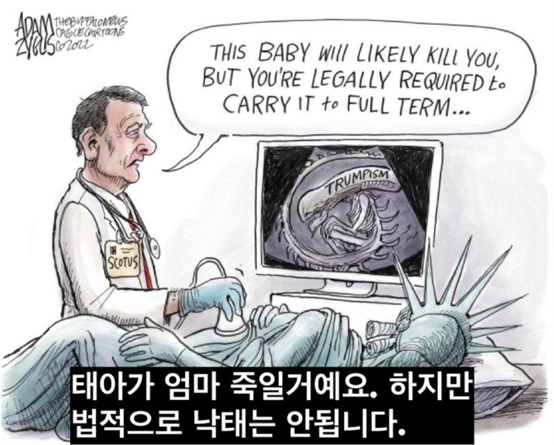 미국 트럼프 만평
