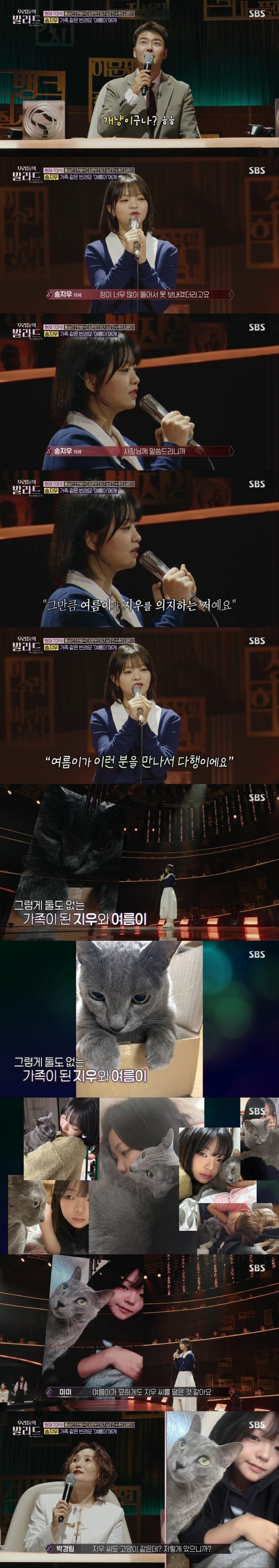 고양이 집사가 부르는 고양이 노래ㅋㅋㅋㅋㅋㅋㅋㅋ