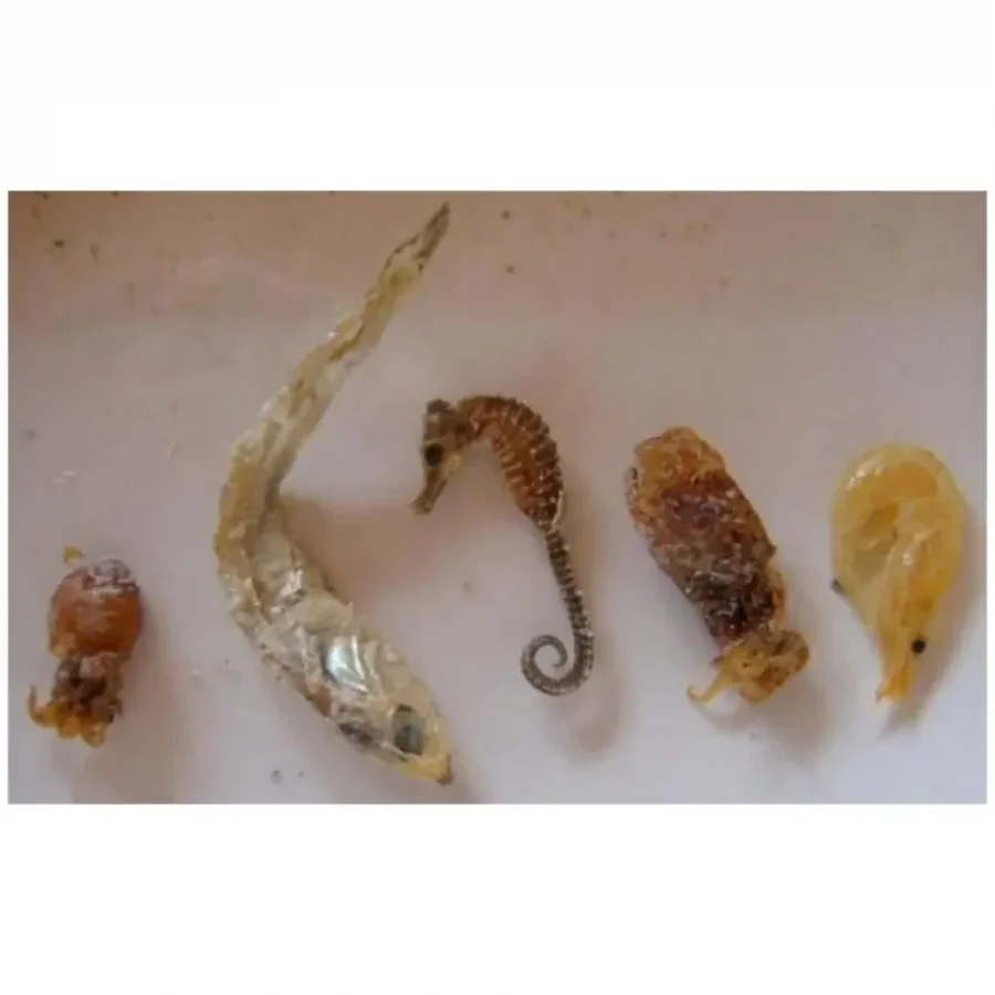 멸치박스 사면 나오는 것들