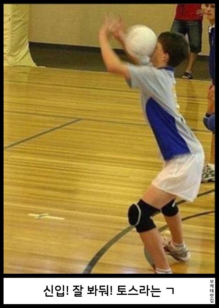 NEW 일본의 제목학원 보케테 모음 66