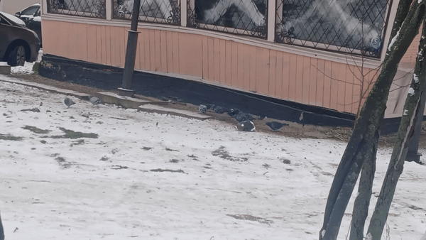 봇치의 리투아니아 여행 8화