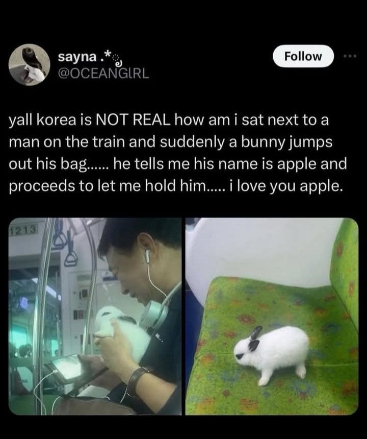 한국에서 특이한 경험한 외국인