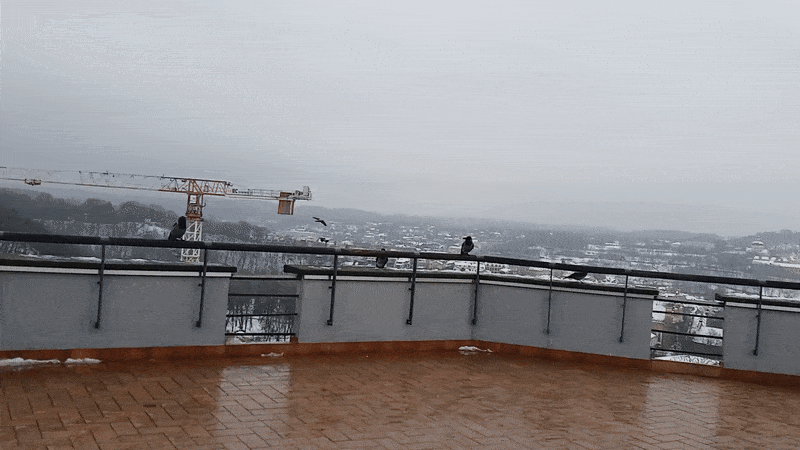 봇치의 리투아니아 여행 10화