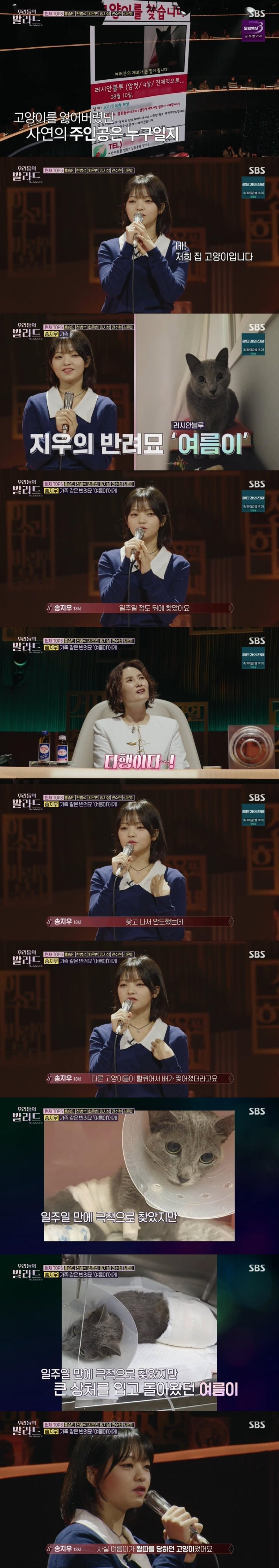 고양이 집사가 부르는 고양이 노래ㅋㅋㅋㅋㅋㅋㅋㅋ