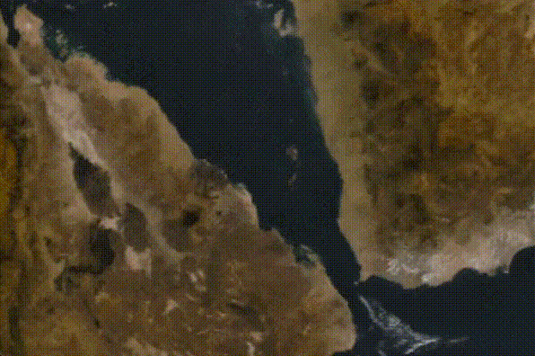 ㅇㅎ) 오늘 커피 생두값이 폭등한 이유