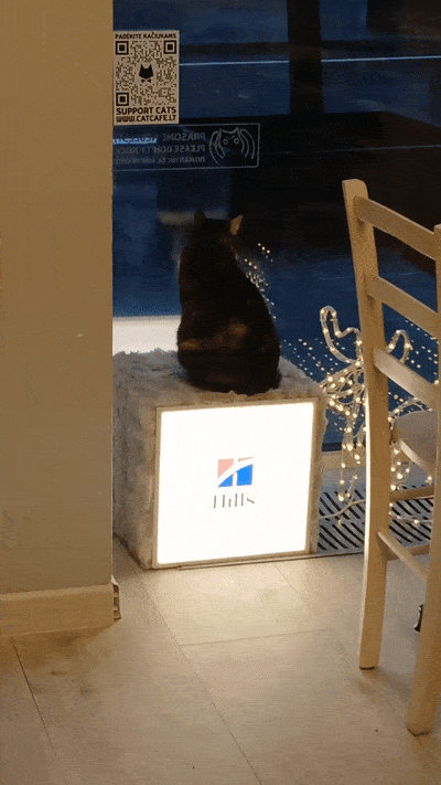 봇치의 리투아니아 여행 10화