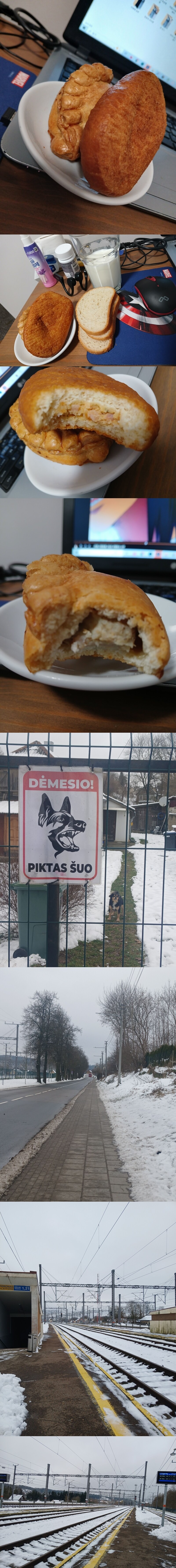 봇치의 리투아니아 여행 11화