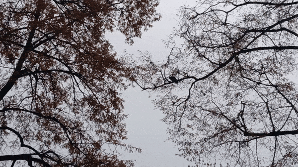 봇치의 리투아니아 여행 10화