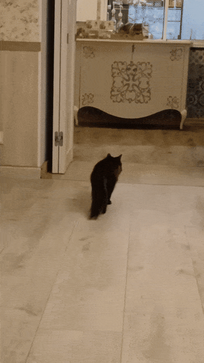 봇치의 리투아니아 여행 8화