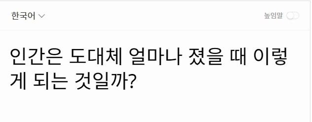 일본 빠칭코 가게 흔한 풍경