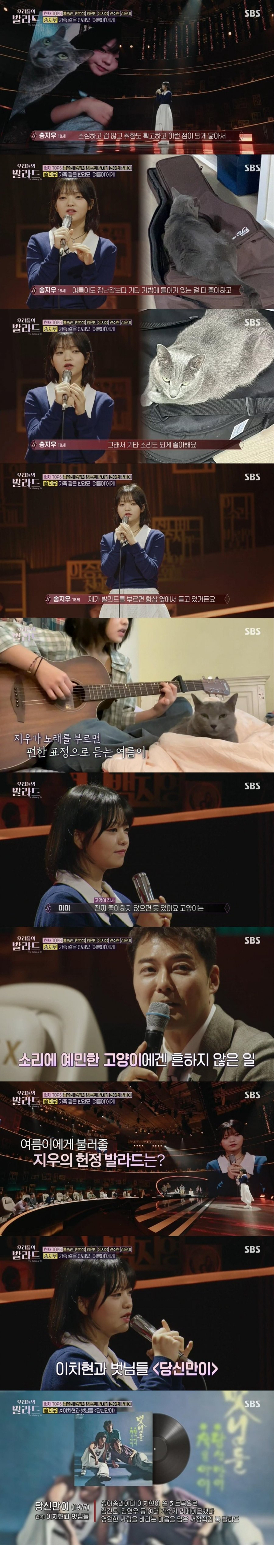 고양이 집사가 부르는 고양이 노래ㅋㅋㅋㅋㅋㅋㅋㅋ