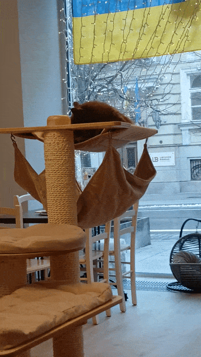 봇치의 리투아니아 여행 8화