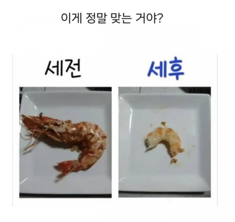 세전 세후