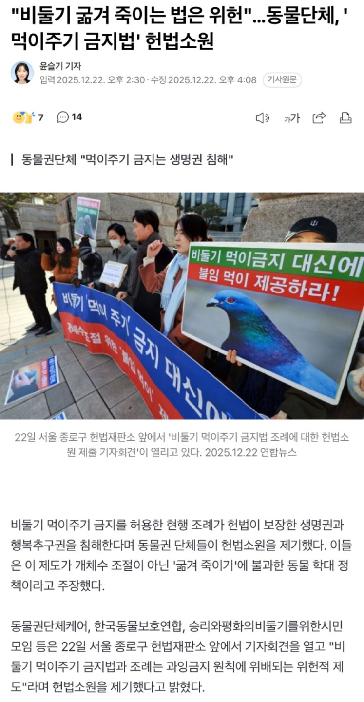 '비둘기 굶겨 죽이는 법은 위헌'…동물단체, '먹이주기 금지법' 헌법소원
