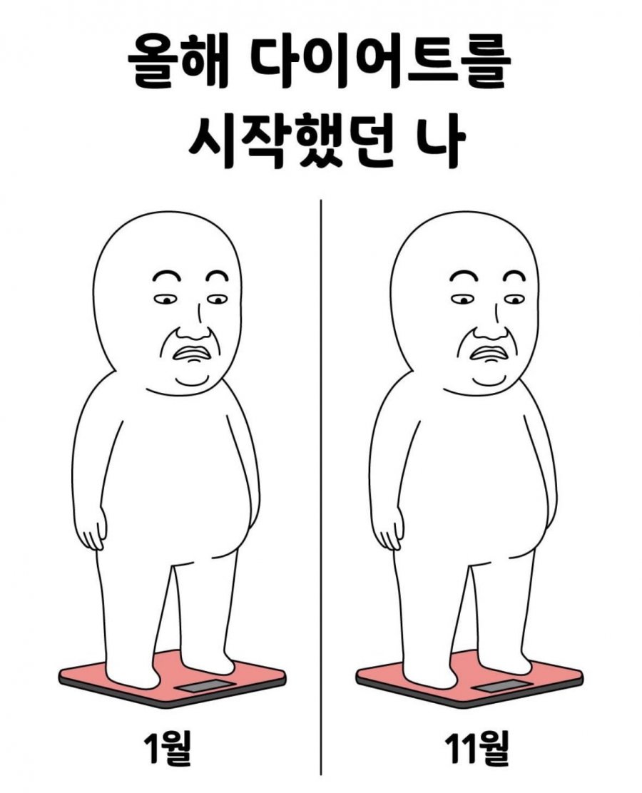 올해 다이어트 시작했던 나
