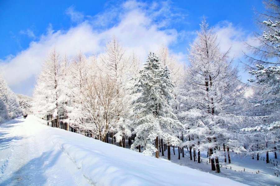 강원도 대표 설경명소 수준