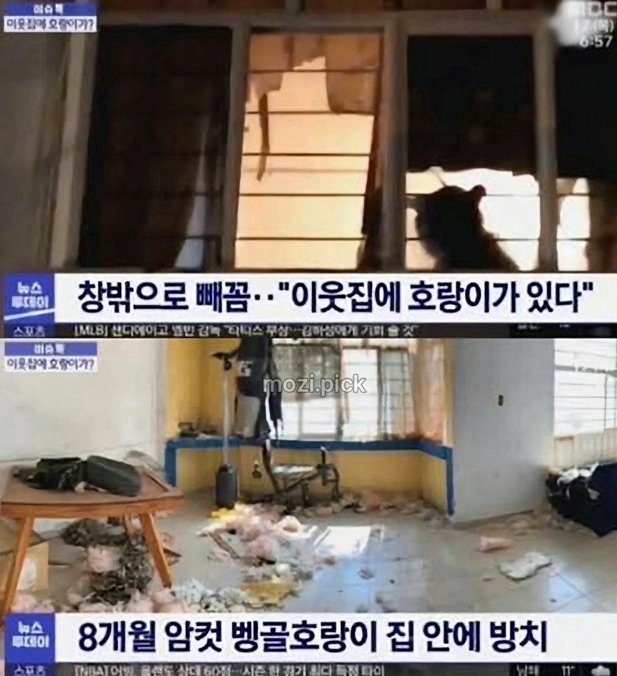 그림자만 보고 집에 호랑이 있다고 신고