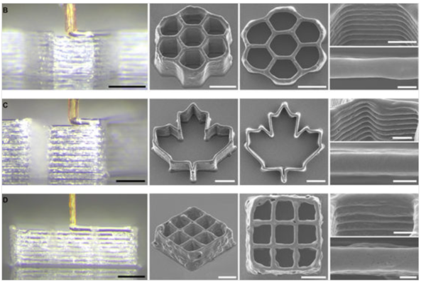결국 과학자들이 모기의 쓸모를 찾아 냈습니다