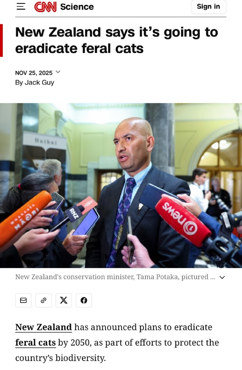 야생 고양이 근절하겠다는 뉴질랜드, 그리고..