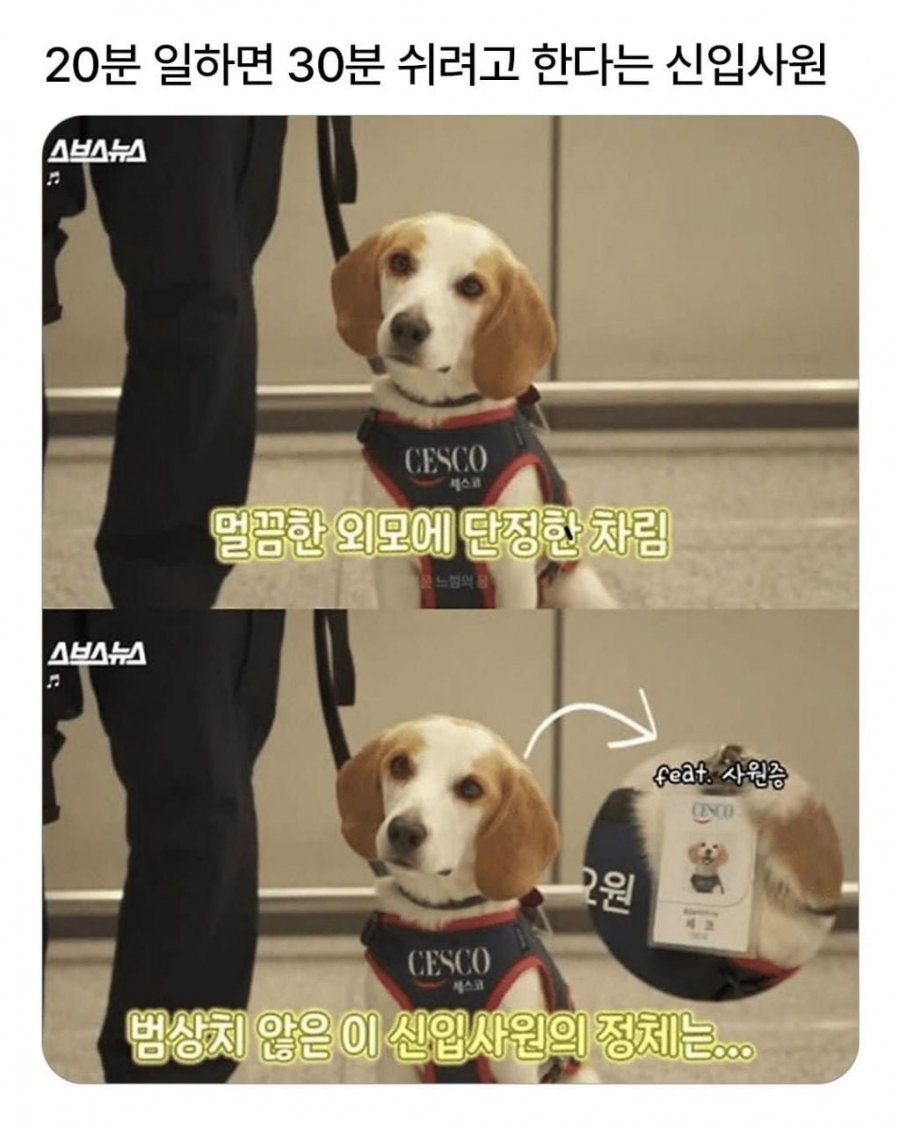 20분 일하고 30분은 쉬려고 한다는 신입사원