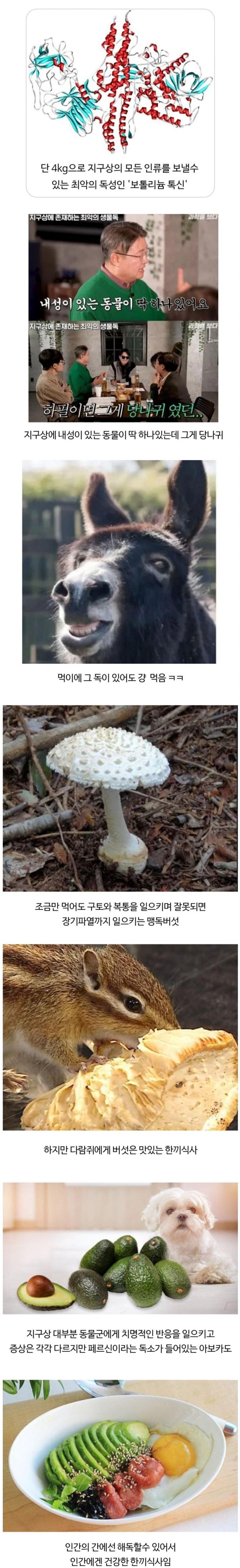 독극물이라는게 종잡을 수 앖는 이유