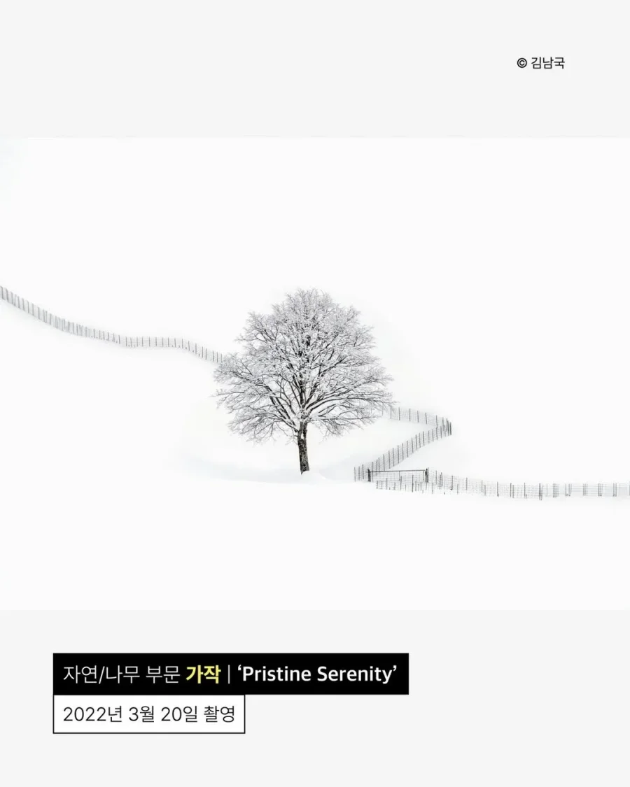 사진이 취미라는 안산시청 공무원.jpg