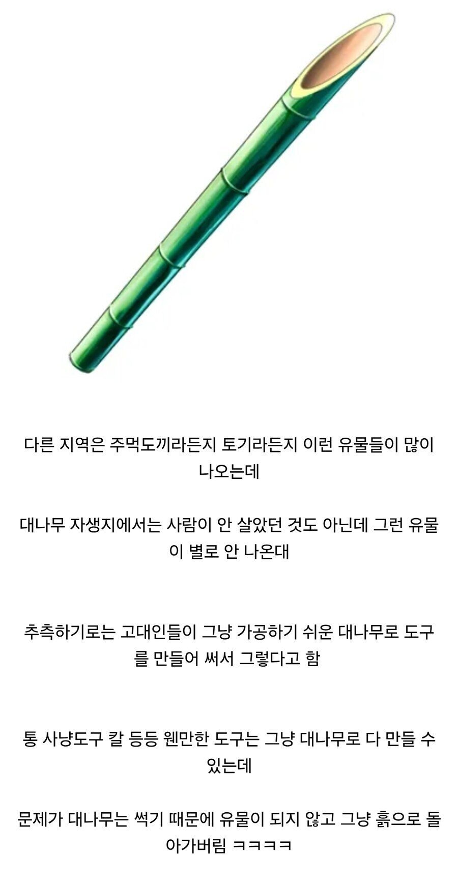 대나무 자생지에서 유물이 별로 안나오는 이유