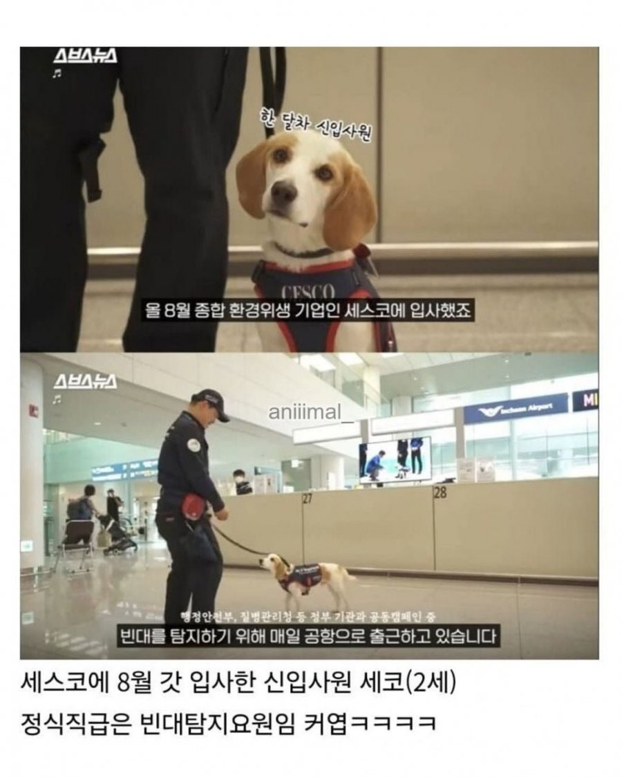 20분 일하고 30분은 쉬려고 한다는 신입사원