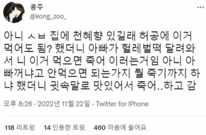 아니 집에 천혜향 있길래