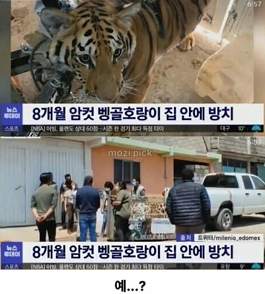 그림자만 보고 집에 호랑이 있다고 신고