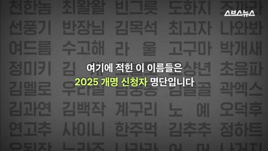 2025년 개명신청한 이름 한짤요약