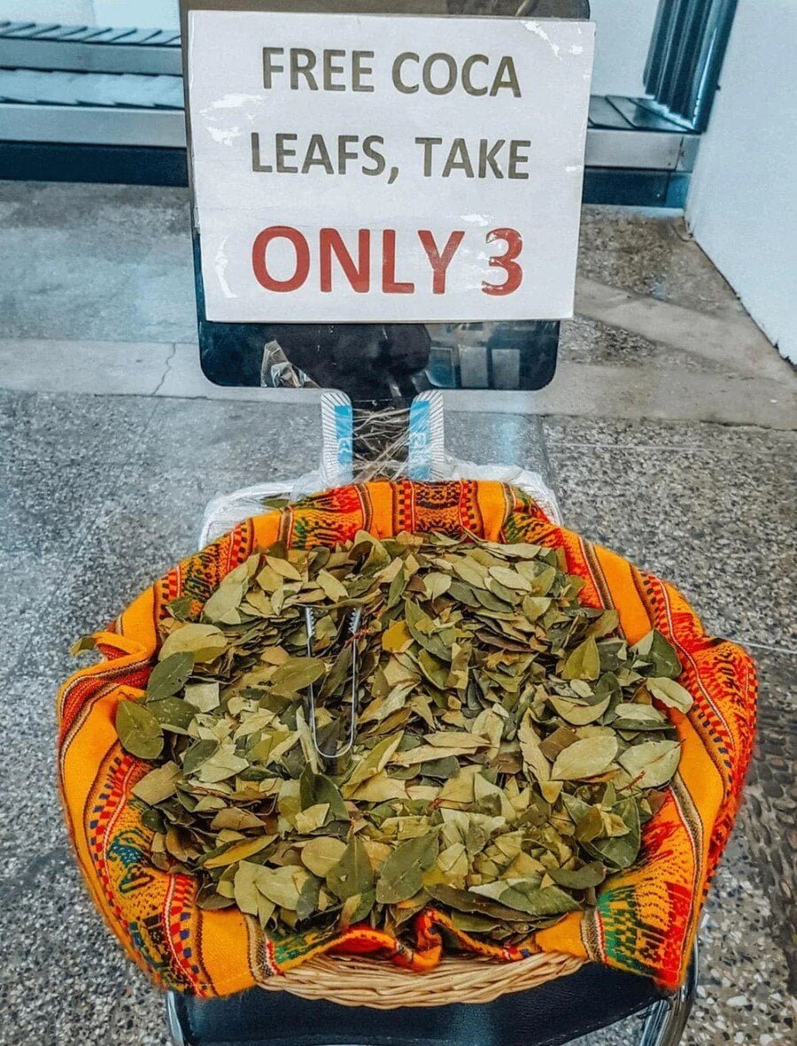 페루에서 공짜로 나눠준다는 고산병 치료제