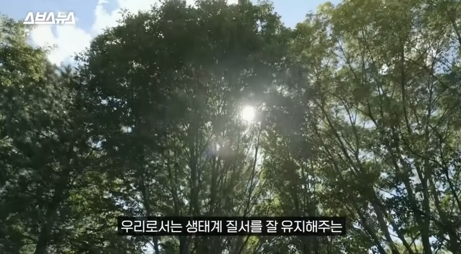 요즘 고양이보다 낫다고 평가 받는 동물jpg