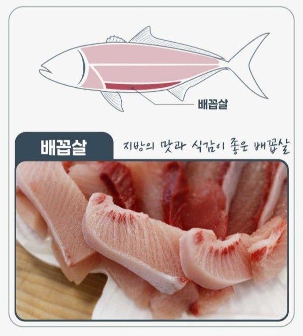 의외로 맛있다는 방어회 부위
