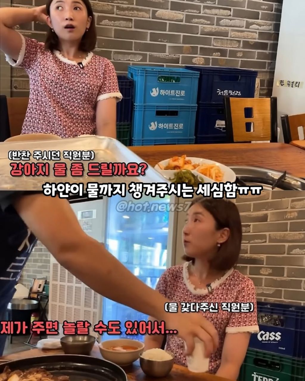 안내견보고 큰소리 내는 식당