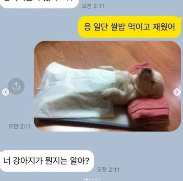 인형같네ㅋㅋㅋ