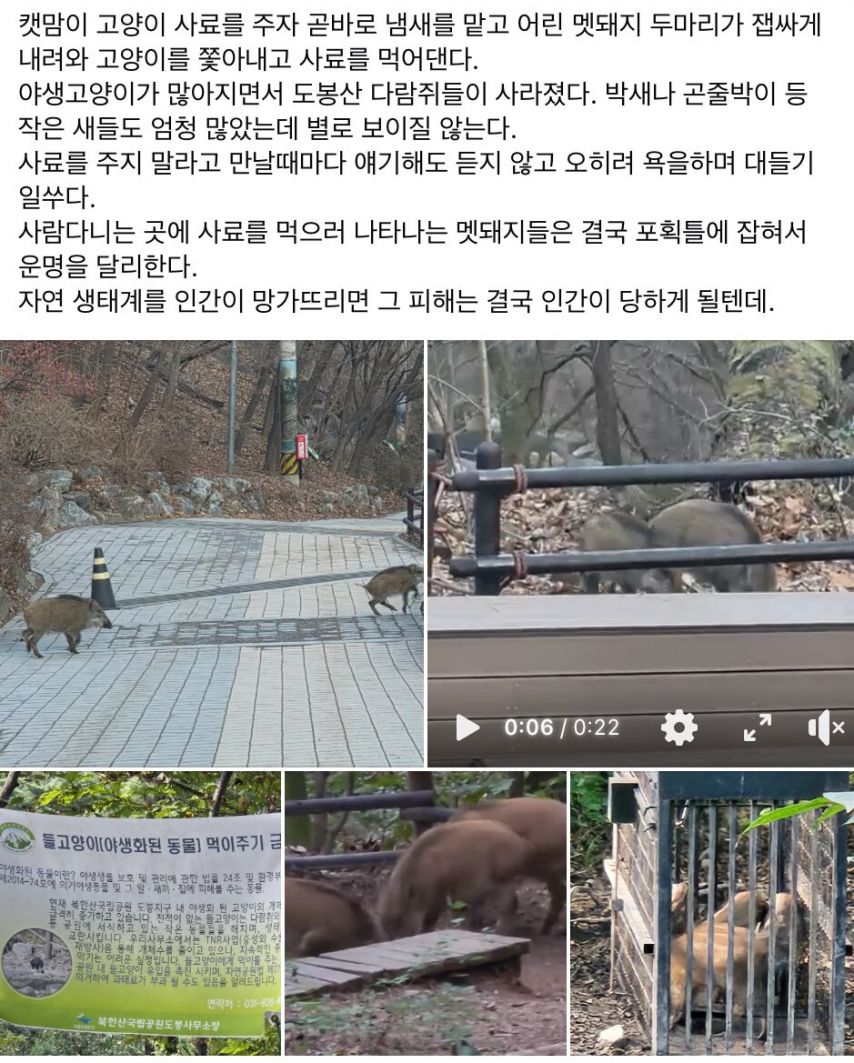 북한산 도봉지구 근황