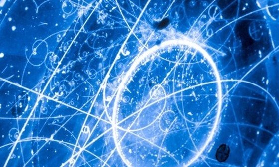 양자역학의 완벽한 이해 vs 외모 커스터마이징