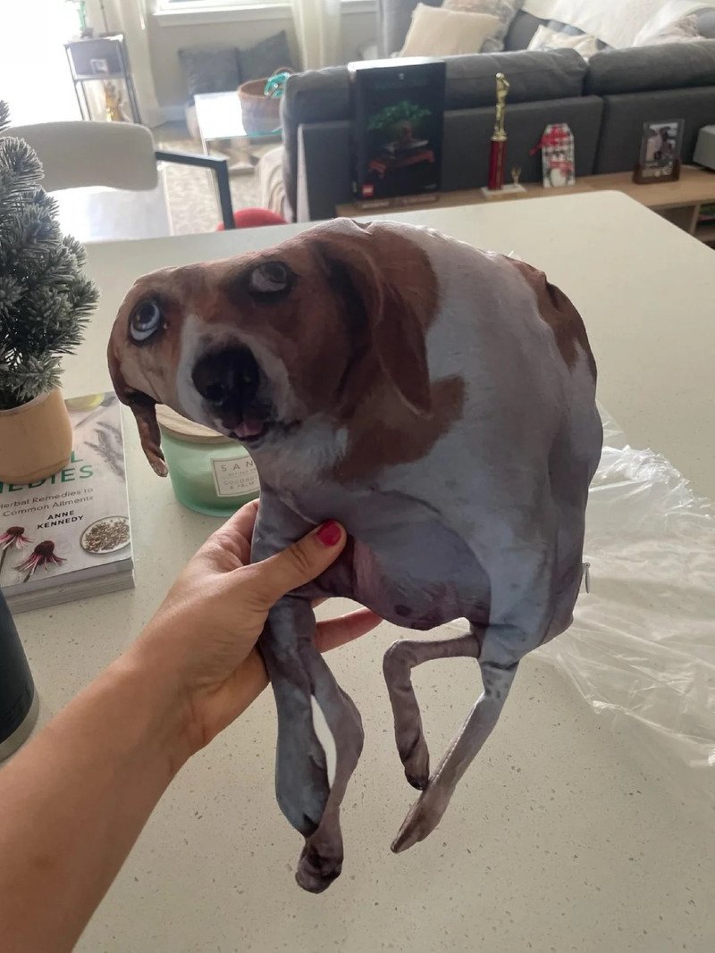 강아지 이렇게 앉아 있는거 영구 보존 하겠어