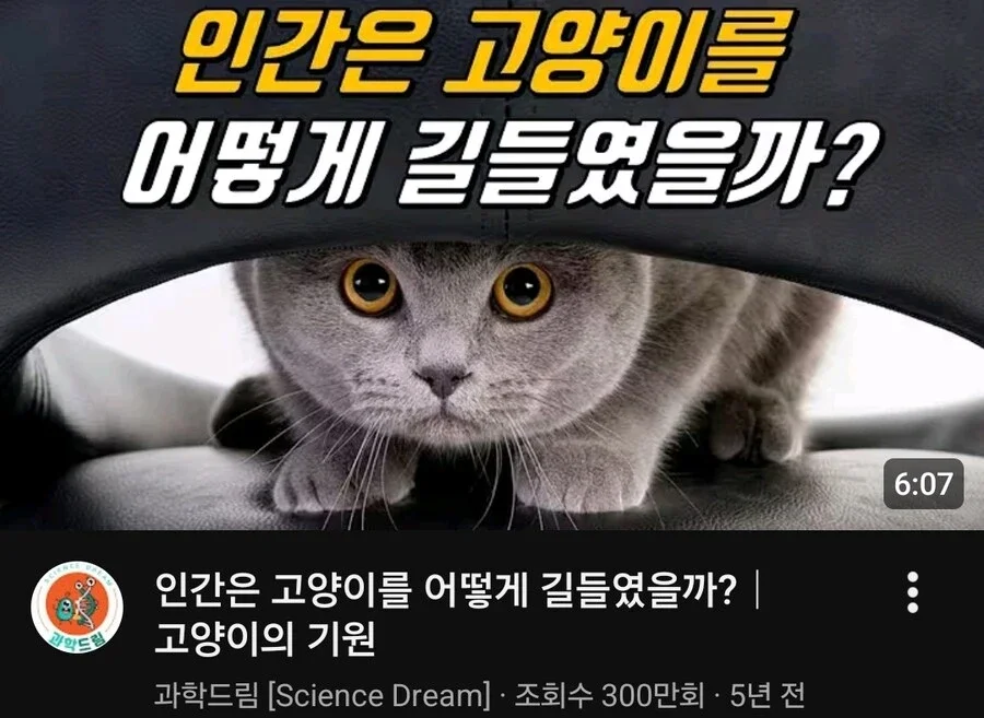 펙트가 잘못된 과학 유튜버