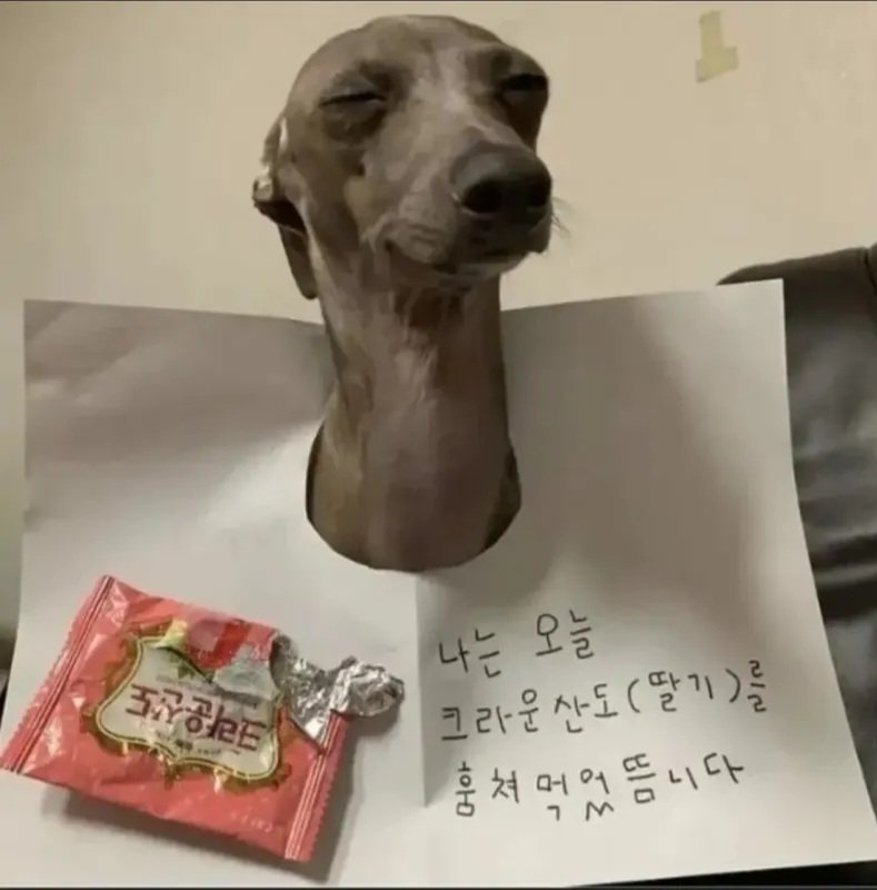 전혀 후회없는 선택.jpg