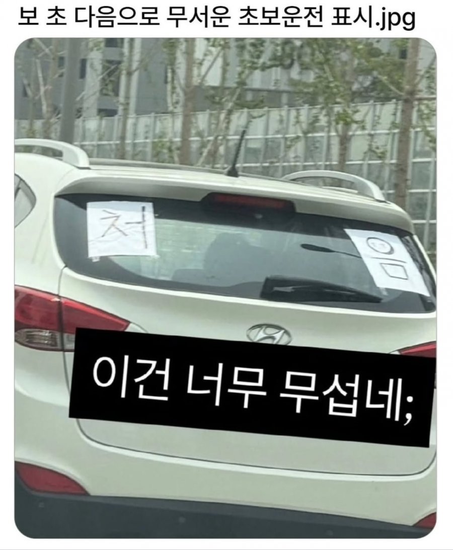 초보운전 표시중에 제일 무서움