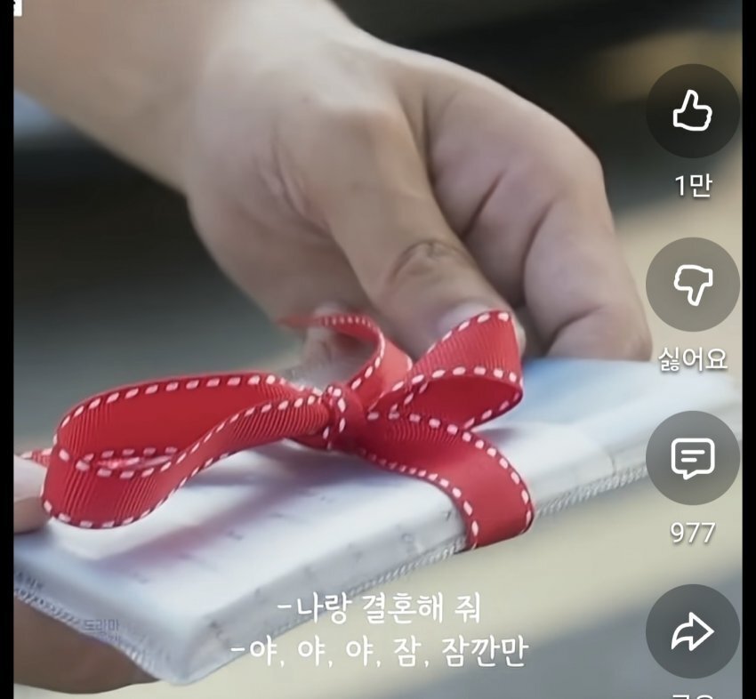 빚 3억6천 있는 누나에게 프러포즈하기.jpg