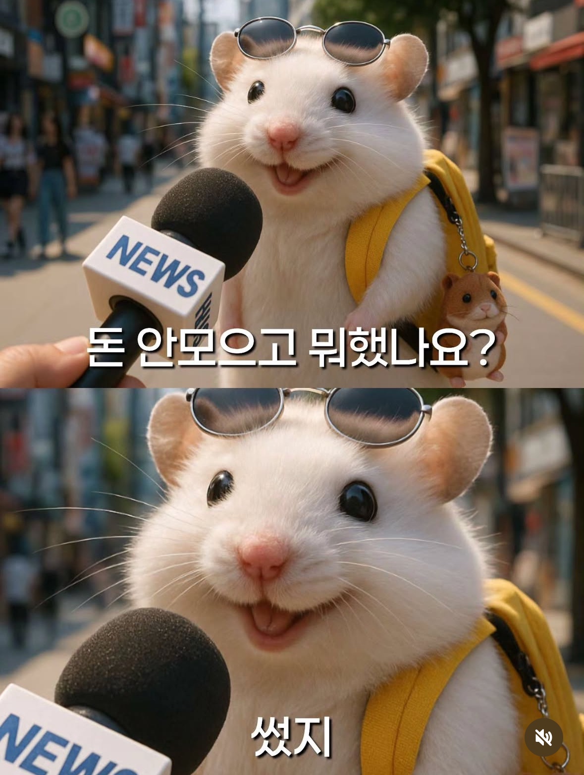 돈 안모으고 뭐했나요?