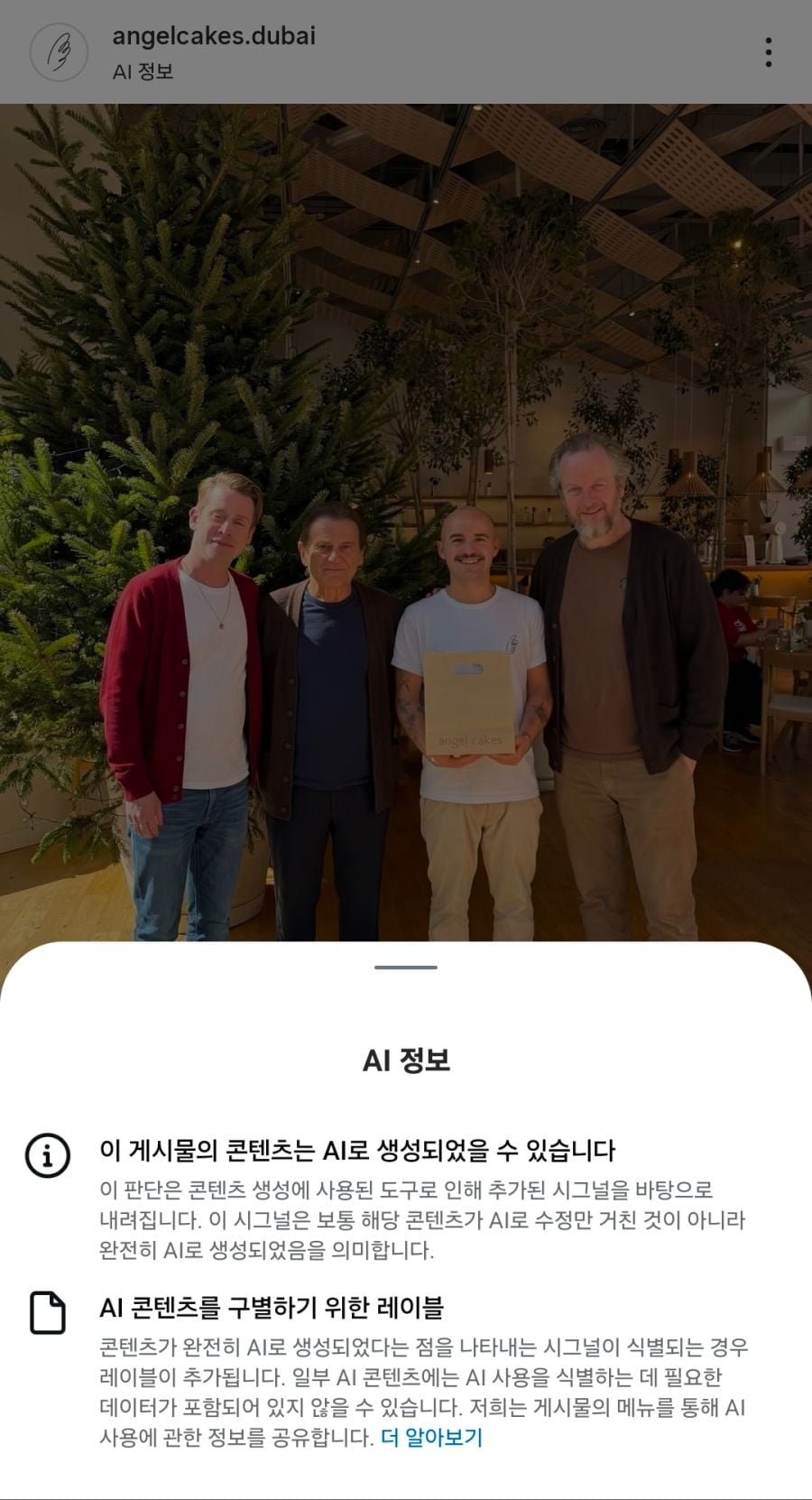 나홀로 집에 재회 짤은 AI일 가능성이 높다.jpg