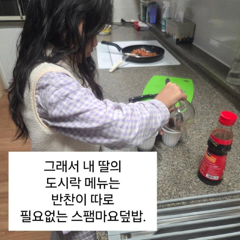 급식 파업에 도시락 싸가는 딸내미.jpg