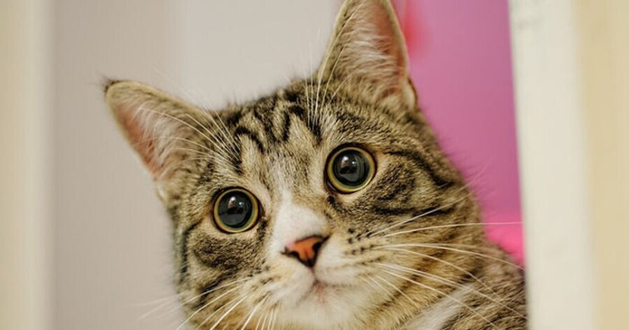 휴가인데 생산적으로 살아야지