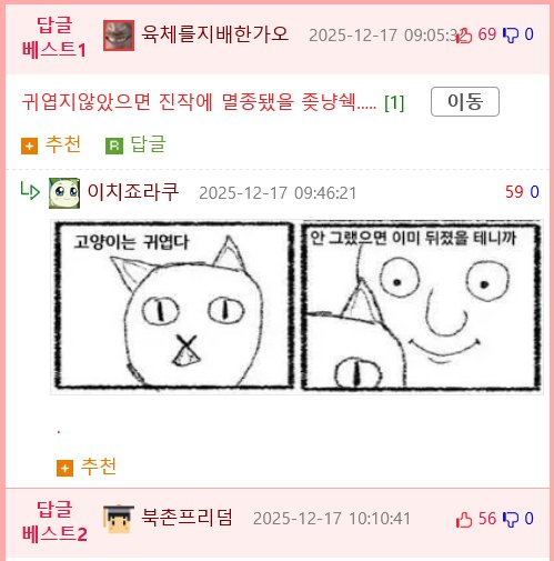 싱글벙글 불이 났을 때 애완동물 반응